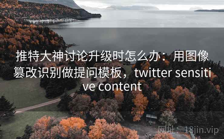 推特大神讨论升级时怎么办：用图像篡改识别做提问模板，twitter sensitive content