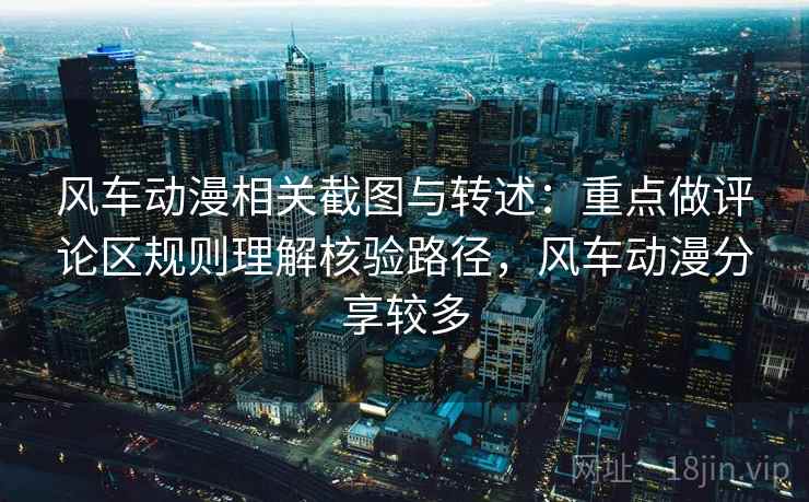 风车动漫相关截图与转述：重点做评论区规则理解核验路径，风车动漫分享较多