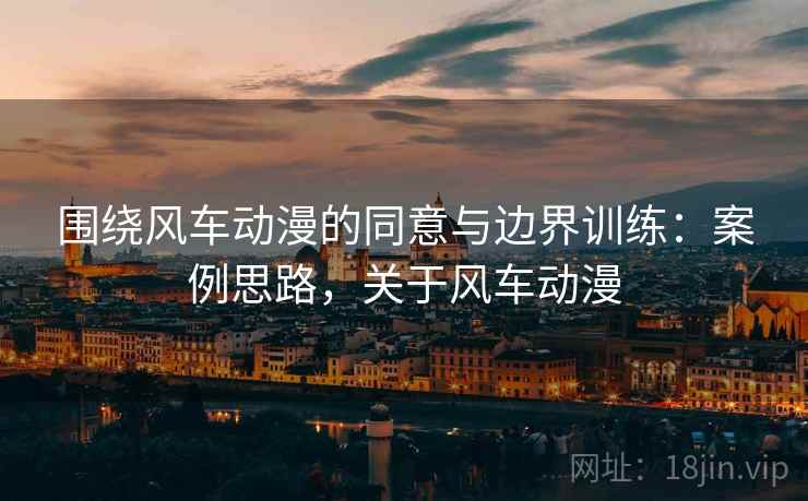 围绕风车动漫的同意与边界训练：案例思路，关于风车动漫