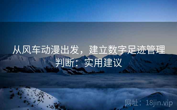 从风车动漫出发，建立数字足迹管理判断：实用建议