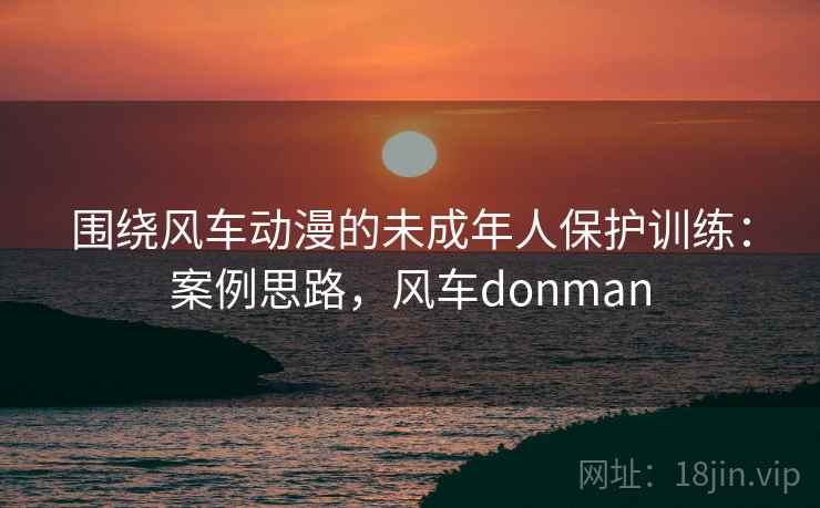 围绕风车动漫的未成年人保护训练：案例思路，风车donman