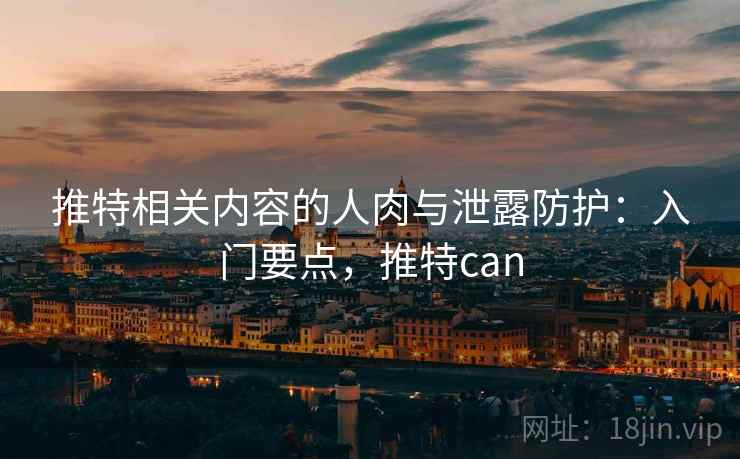 推特相关内容的人肉与泄露防护：入门要点，推特can