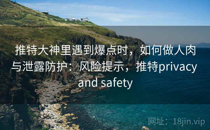 推特大神里遇到爆点时，如何做人肉与泄露防护：风险提示，推特privacy and safety
