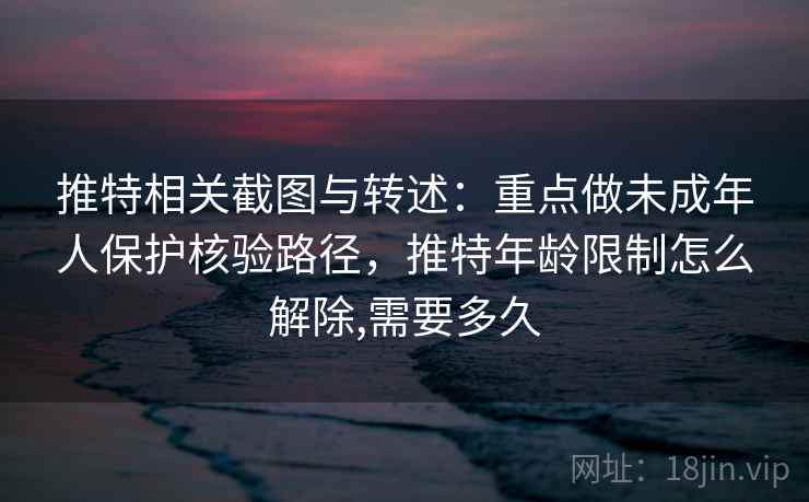 推特相关截图与转述：重点做未成年人保护核验路径，推特年龄限制怎么解除,需要多久