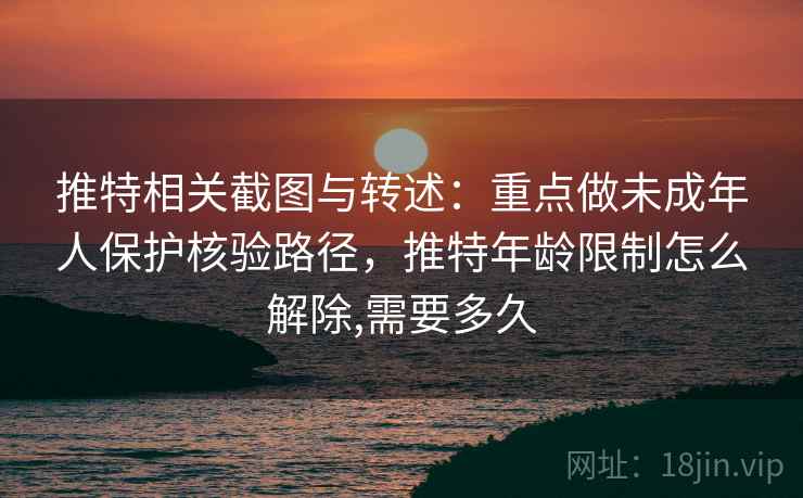 推特相关截图与转述：重点做未成年人保护核验路径，推特年龄限制怎么解除,需要多久